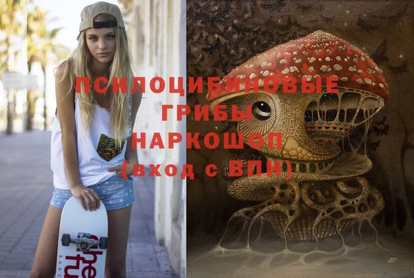 прущие крисы Балахна