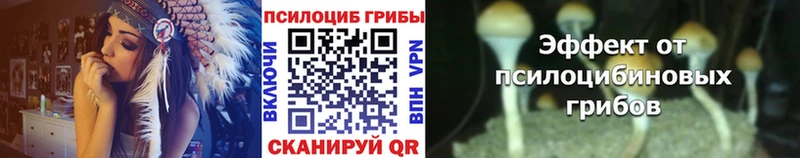 Псилоцибиновые грибы Psilocybine cubensis  маркетплейс состав  Бутурлиновка  где можно купить наркотик 